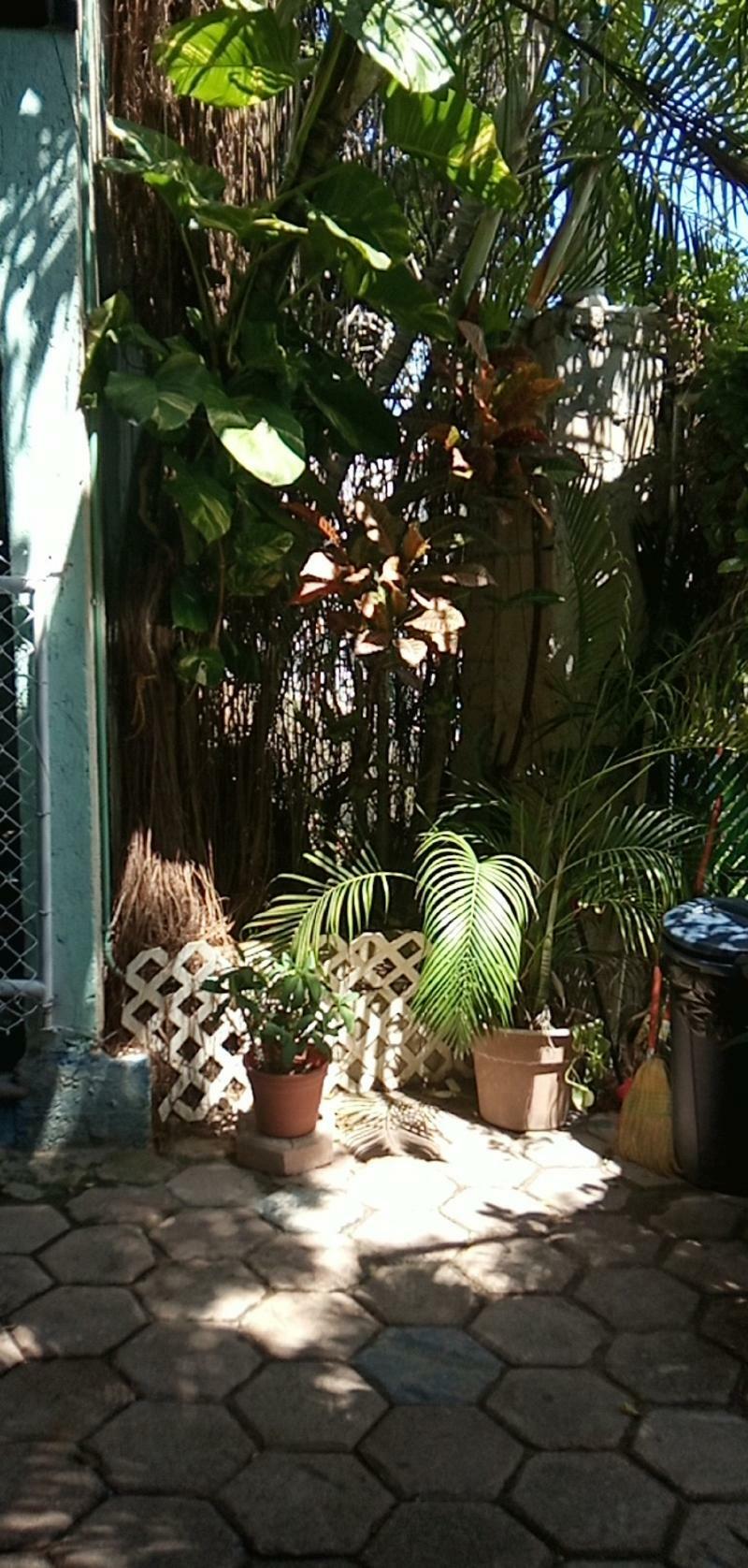 Posada Marpez Cancun Bagian luar foto